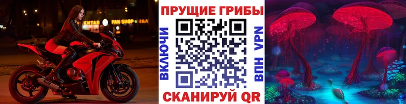Галлюциногенные грибы прущие грибы  Монино 